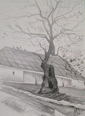 Tree (Leaning House). Zozoulia Maria