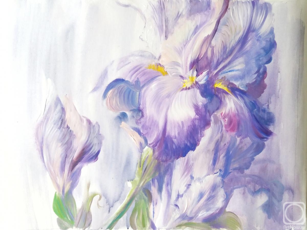 ������� ������ �� ������. ���������� ���������. ����� ������