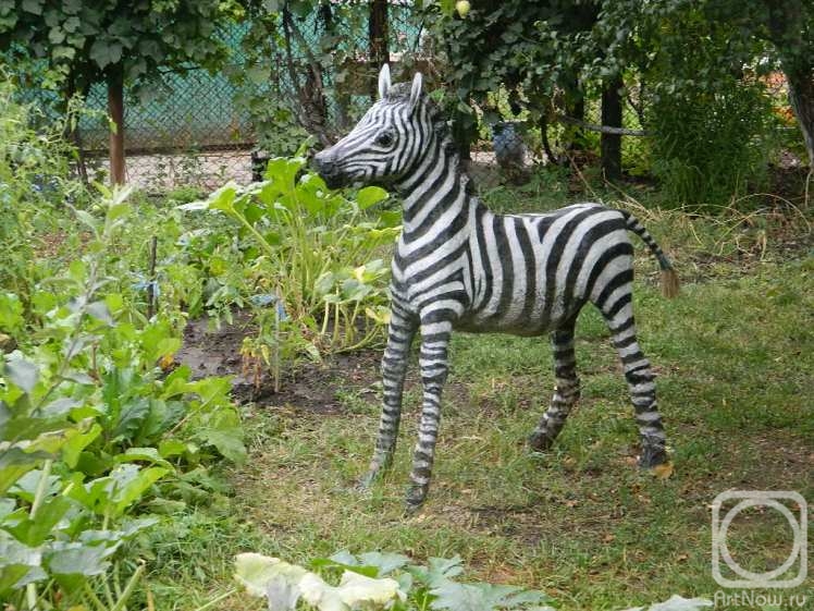Starovoitov Vladimir. Zebra