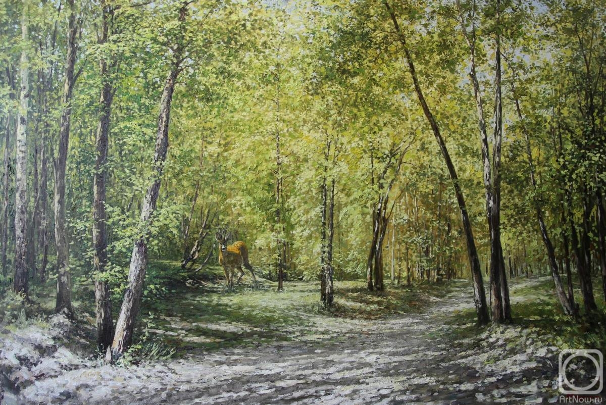 Soldatenko Andrey. On a sunny day in the forest