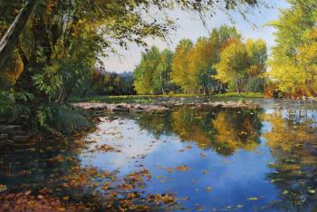 Leaves on water. Popov Alexander