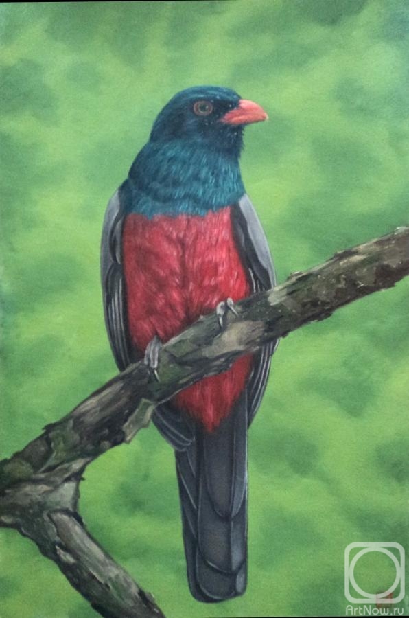 �������. ���������� ������. ������