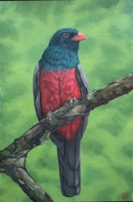 ������� ��������