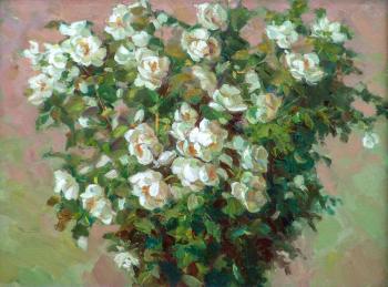 White rose hip. Grigoryan Mike