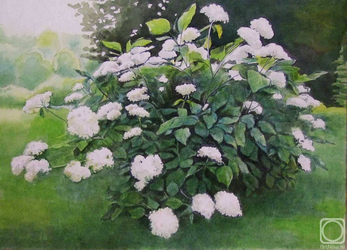 �������. ������ ������. ���������