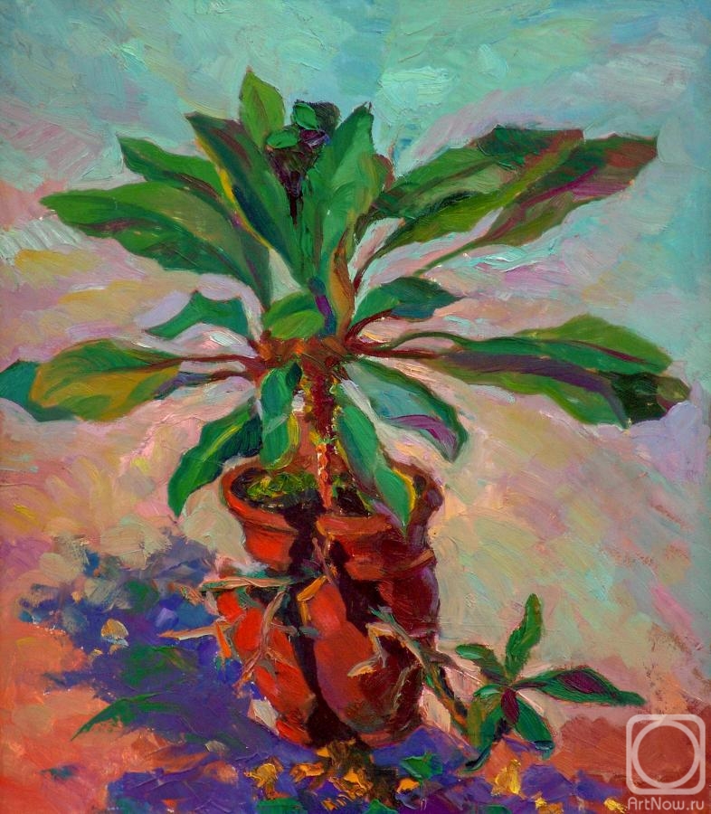 �������. �������� ����. �������