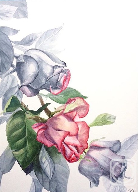 Pavlovskaya Mariya. Roses
