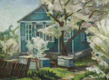 Apiary in the spring (House Baba Linden)