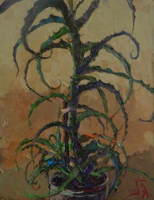 ������� ���. ���������� �������