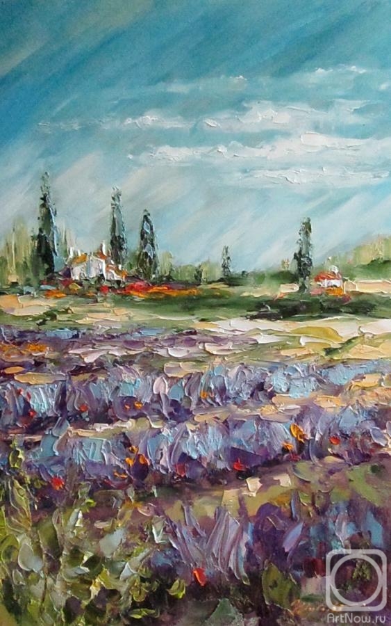 Shubert Anna. Lavender fields, Provence