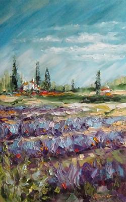 Lavender fields, Provence. Shubert Anna