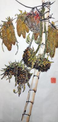 Sunflowers and corn cobs