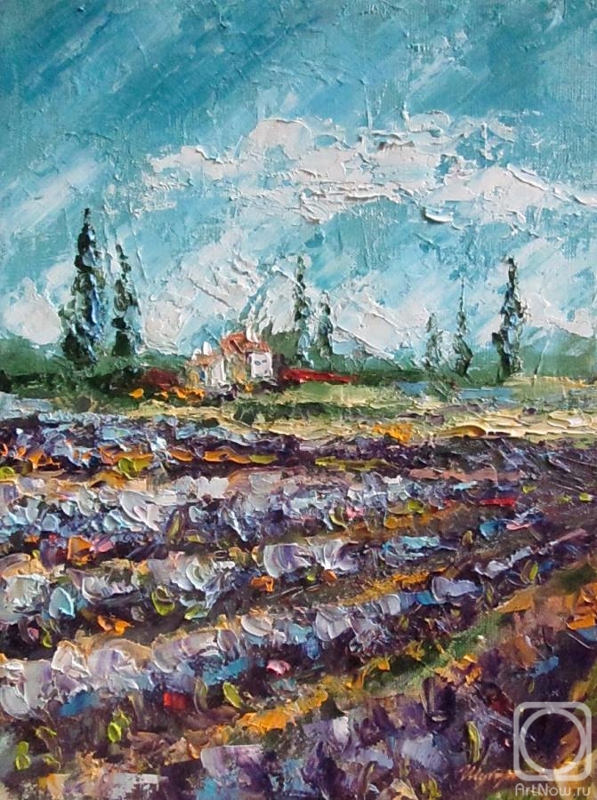 Shubert Anna. Blooming Provence. Lavender fields