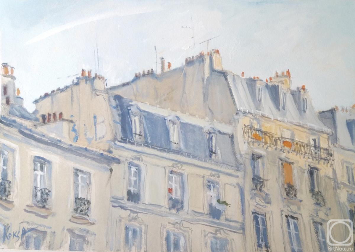 Koks Aleksandra. A ray of sunshine on the roofs of Paris
