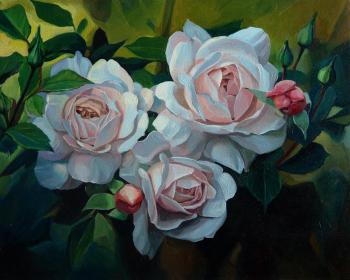 The roses in the garden. Vestnikova Ekaterina