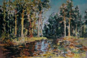 Forest stream. Borisov Mikhail