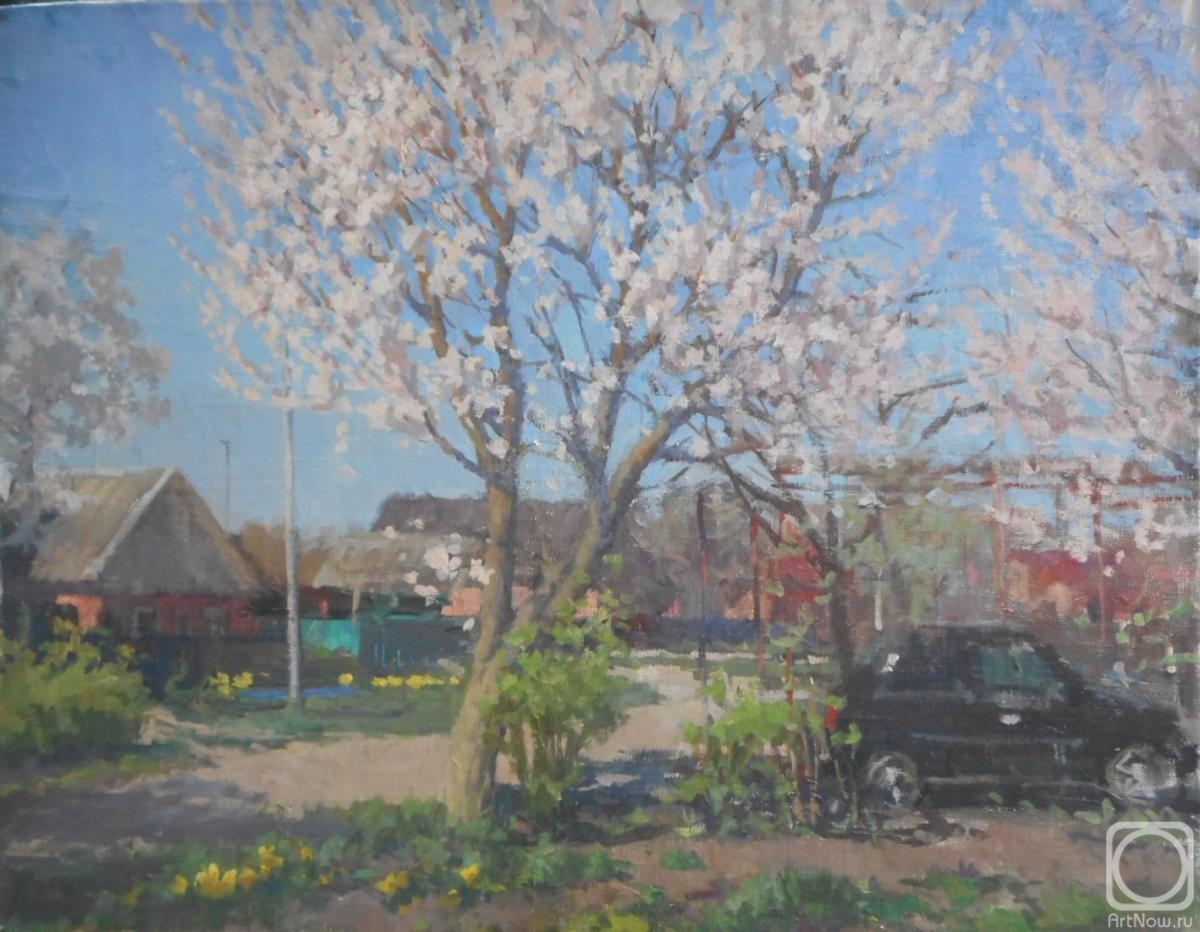 Saprunov Sergey. Spring day in Tikhoretsk