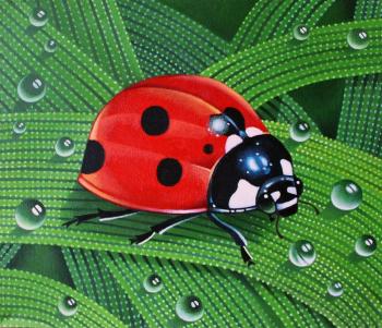 Ladybug ( ). Belova Asya