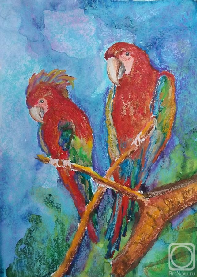 Bystrova Anastasia. Two parrots