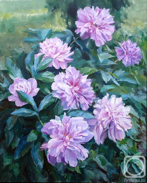 ������� ������ �� ������. ������� �����. ������� �����