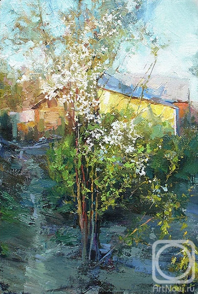 Dragin Igor. Plumtree in blossom