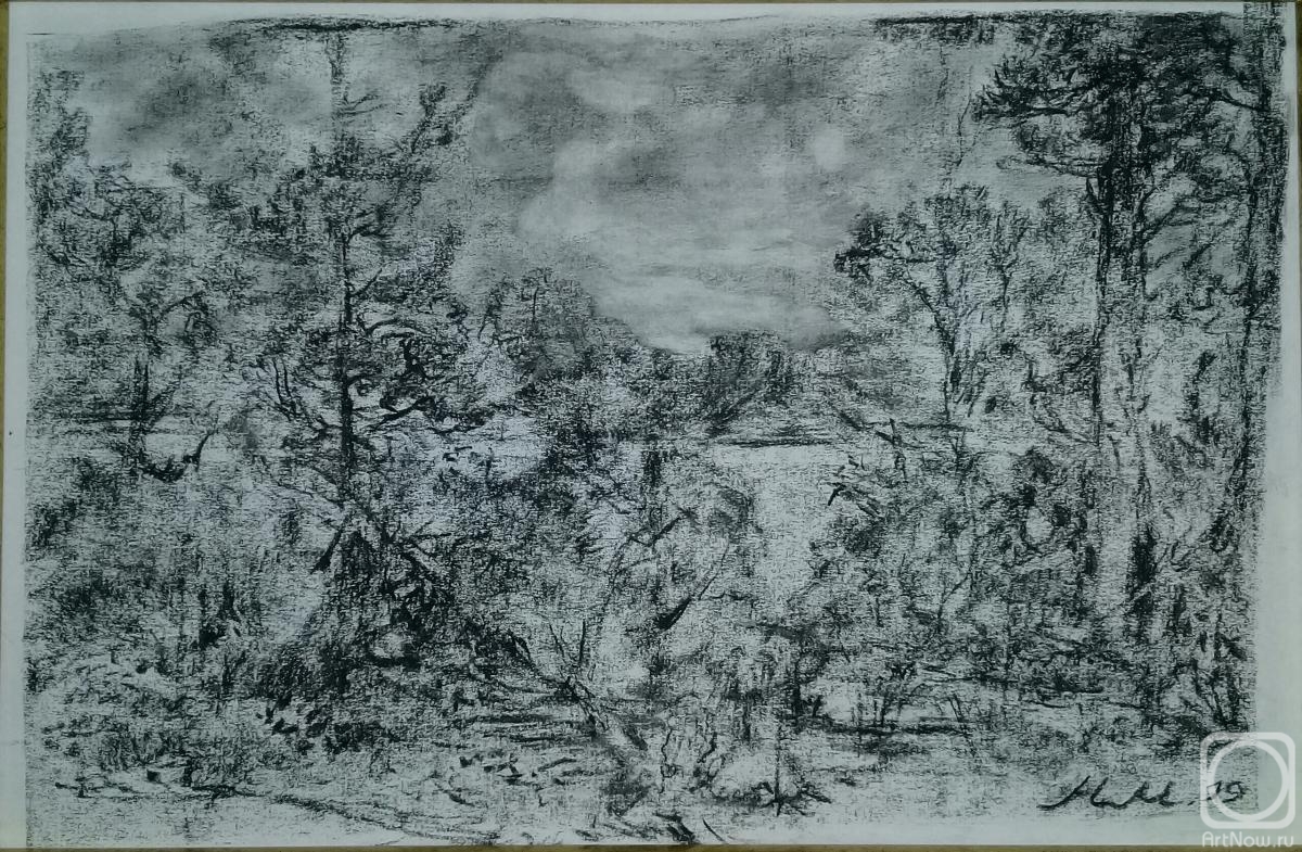 �������. ���������� �������. ������