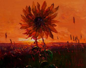 Blinding light. Golovchenko Alexey