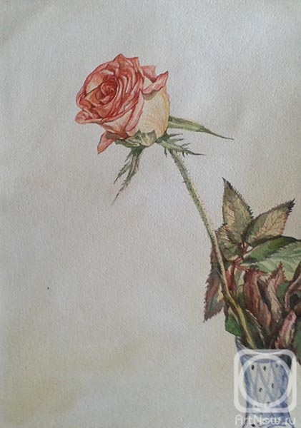 Rakutov Sergey. Rose