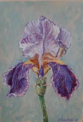 ������� �����