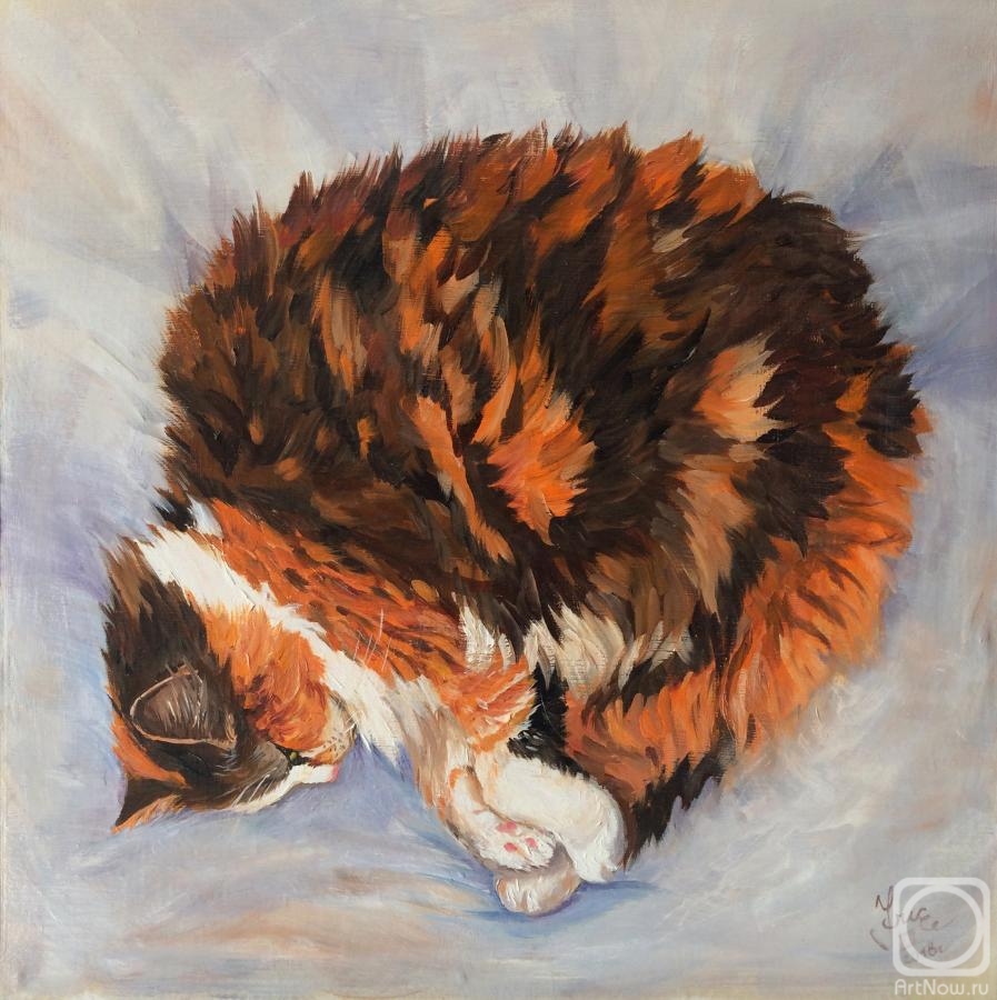 ������� ������ �� ������. ������� �������. �������