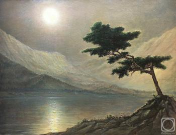 ������� �� ������ �������