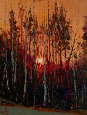 ������� ���������