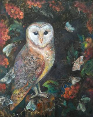 Night Beauty (Owl And Butterflies). Kulik Darya