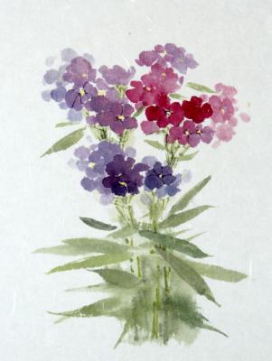 Phlox (Lilac Watercolors). Engardo Anna