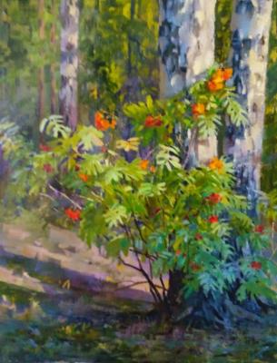 31 Aug. Shevtsova Oksana