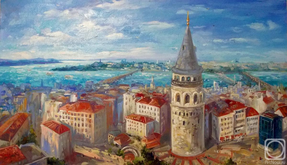 Gerasimova Natalia. Turkey. View of Istanbul