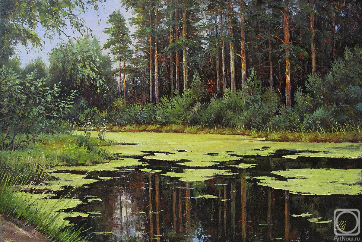 Popov Alexander. Overgrown pond