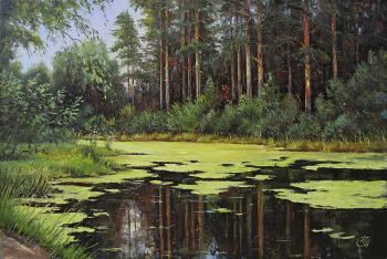 Overgrown pond. Popov Alexander