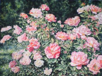 Roses in the park. Golubkin Sergey