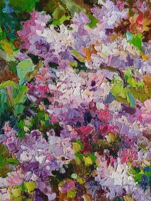 Lilac bush. Kruglova Irina