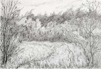 ������� ��� ����