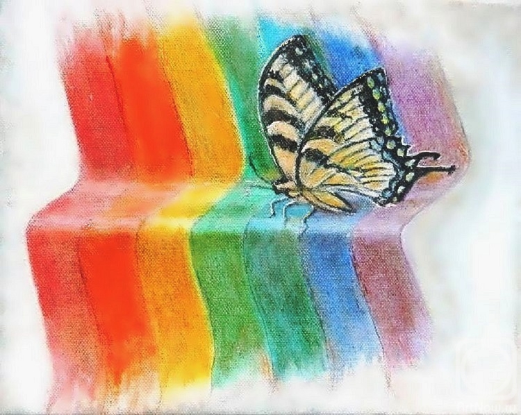    .  . Butterfly