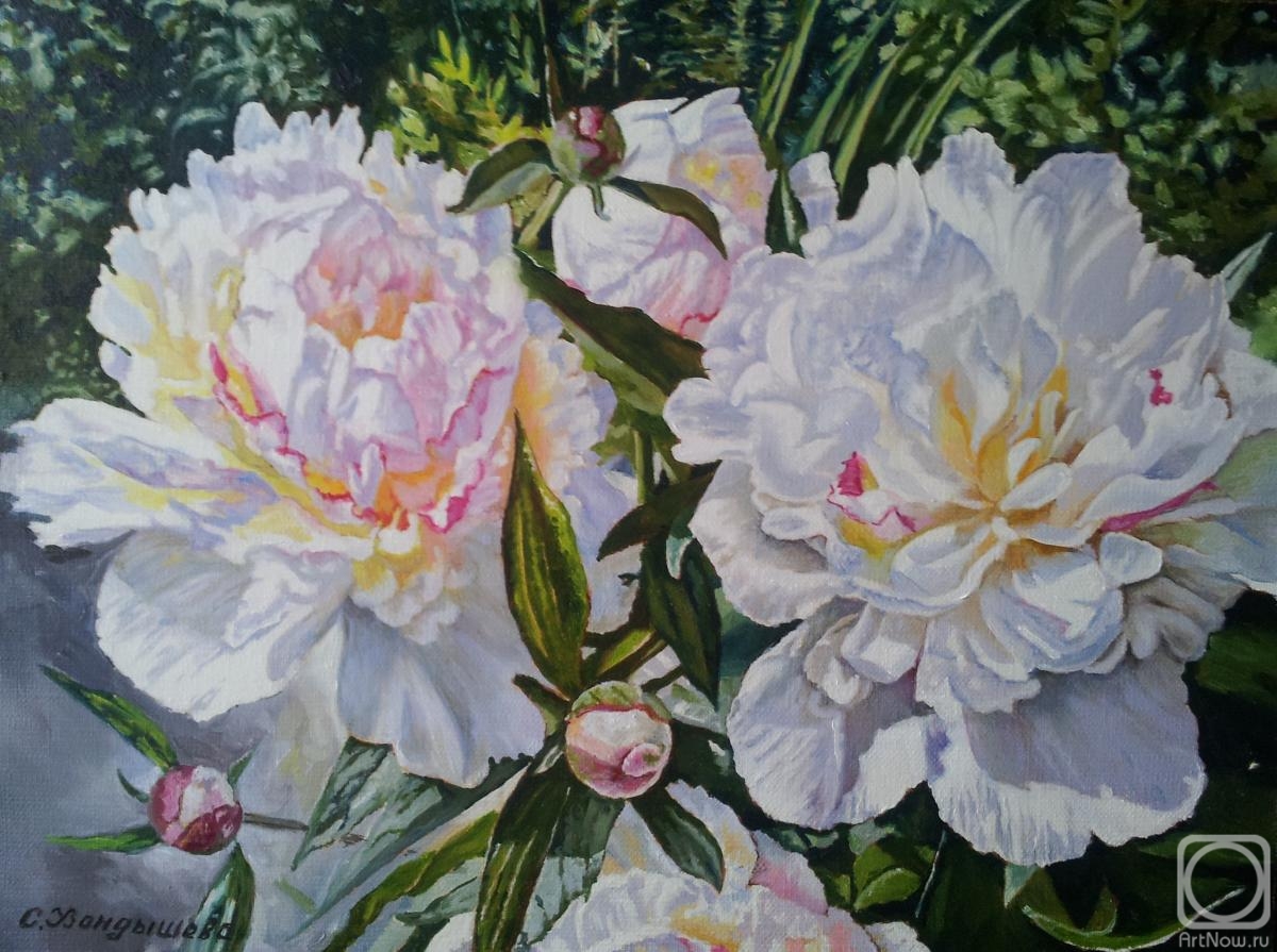 �������. ��������� ��������. �����