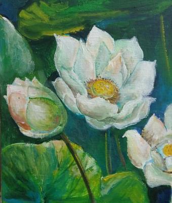 Lotus. Bystrova Anastasia