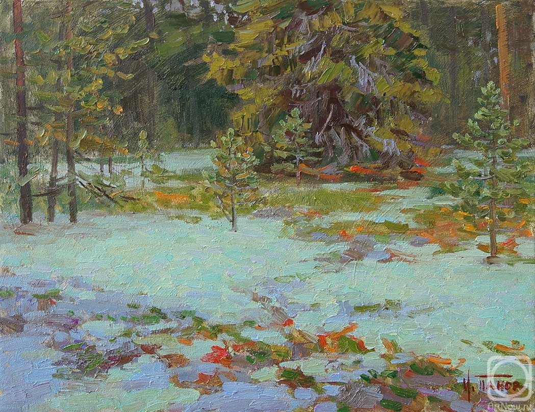 Panov Igor. Yagel forest