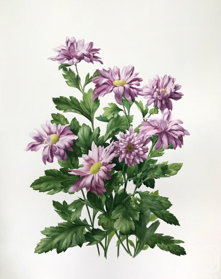 �������. ���������� �����. ���������� ����������������