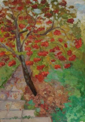 ������� �������