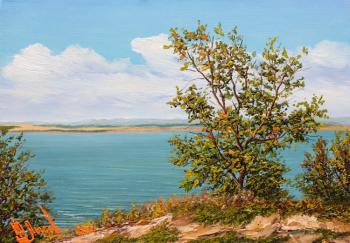 View of the Volga. White Yar
