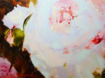 �����. �������� �������