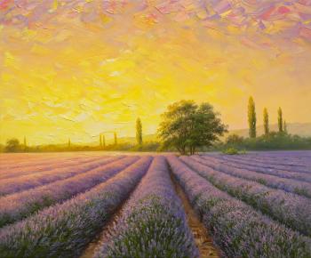 ������� ���������� ����